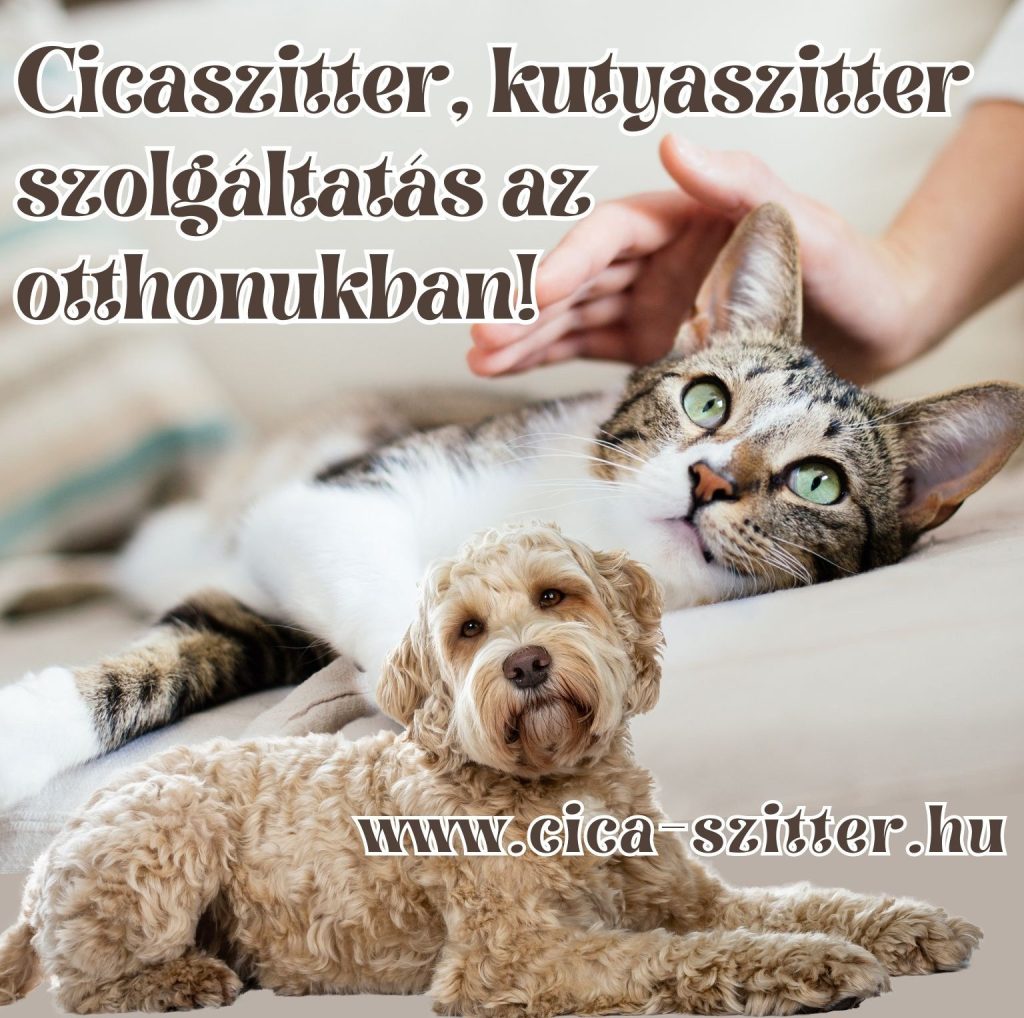 www.cica-szitter.hu cicaszitter, kutyaszitter szolgáltatás